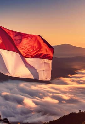 Indonesia E Visa